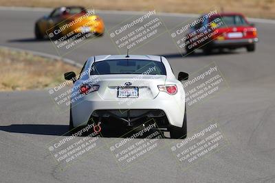 media/Nov-19-2023-Extreme Speed (Sun) [[bd0eec5490]]/Purple/Back Shots/